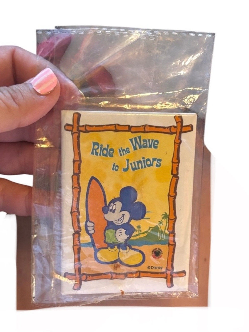 Disney Ride the Wave to Juniors button pin